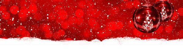 Celebrate with 12 Days of Deals!