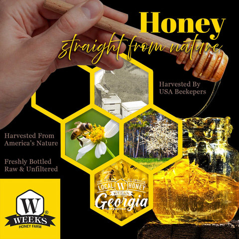 Our Best All-Natural Pure Raw Gallberry Honey | | Honey from Weeks Honey Farm, Inc.