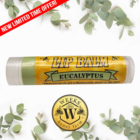 Weeks All Natural Beeswax Lip Balms; Singles, Twin Packs, Case | Eucalyptus Single Balm | Lip Balm from Weeks Honey Farm, Inc.
