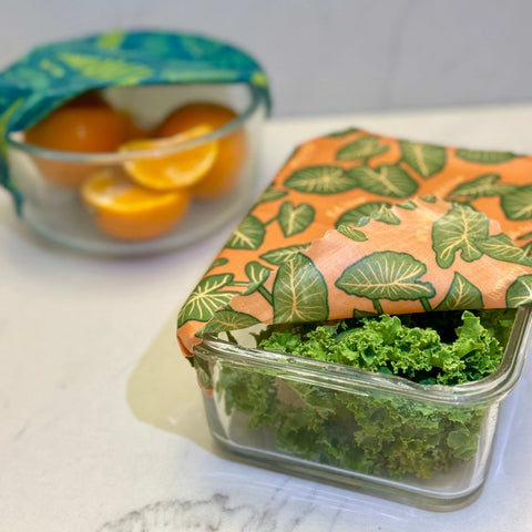 Beeswax Wrap Variety Pack - Hawaiiana Print | | variety beeswax wrap from Meli Wraps