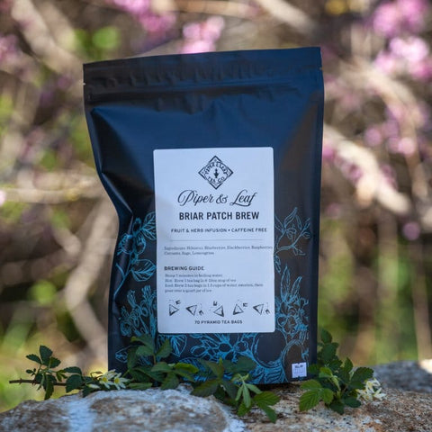 Briar Patch Brew Bulk Sachets - 70ct Tea Bags | | Tea Bags from Piper and Leaf Tea Co.