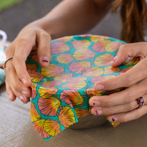 Beeswax Wrap Variety Pack - Ocean Print variety Beeswax Wrap from Meli Wraps http://www.WeeksHoneyFarm.com
