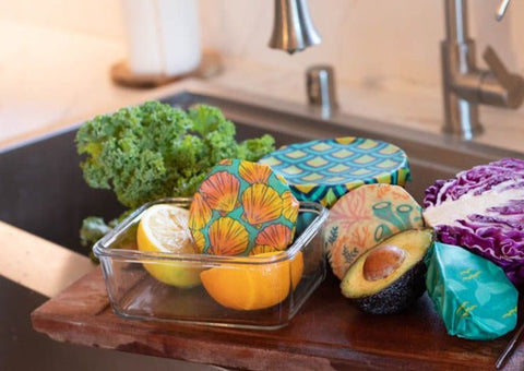 Beeswax Food Wrap - Sunrise Shell Print | | beeswax Wraps from Meli Wraps