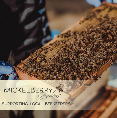 Throat and Lung Honey Tonic | | Honey Tonic from Mickelberry Gardens