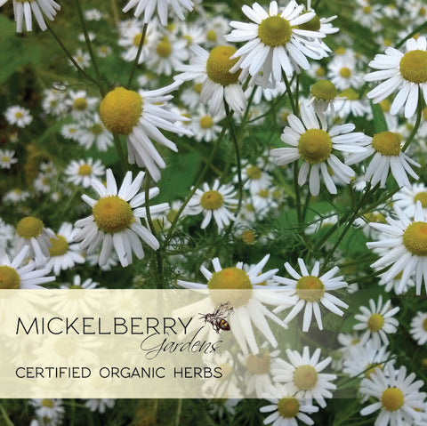 Relaxation Honey Tonic | | Honey Tonic from Mickelberry Gardens