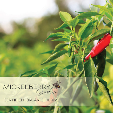 Fire Cider Honey Tonic | | Honey Tonic from Mickelberry Gardens