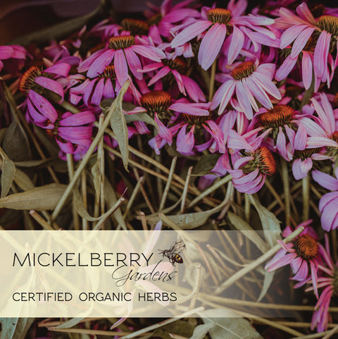 Throat and Lung Honey Tonic | | Honey Tonic from Mickelberry Gardens