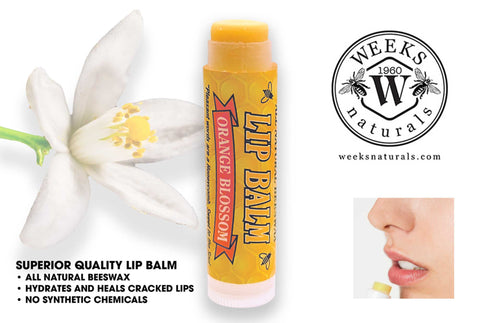 Weeks All Natural Beeswax Lip Balms; Singles, Twin Packs, Case | Orange Blossom Single Balm | Lip Balm from Weeks Honey Farm, Inc.