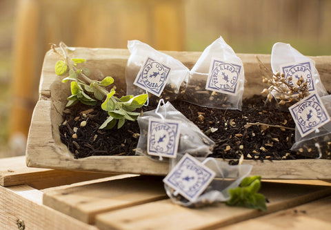 Sunrise Chai Bulk Sachets - 70ct Tea Bags | | Tea Bags from Piper and Leaf Tea Co.
