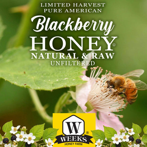 Weeks Raw Blackberry Honey - Honey - Only $7.99! Order now at Weeks Honey Farm Fast shipping and excellent customer service.