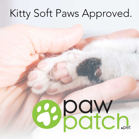 PawPatch™ 100% Natural Moisturizer for Pets; Travel Tube (.15oz) Animals & Pet Supplies from Weeks Honey Farm, Inc. http://www.WeeksHoneyFarm.com