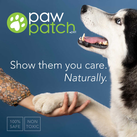 PawPatch™ 100% Natural Moisturizer for Pets; Travel Tube (.15oz) Animals & Pet Supplies from Weeks Honey Farm, Inc. http://www.WeeksHoneyFarm.com