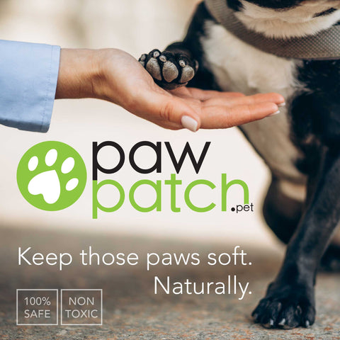 PawPatch™ 100% Natural Moisturizer for Pets; Travel Tube (.15oz) Animals & Pet Supplies from Weeks Honey Farm, Inc. http://www.WeeksHoneyFarm.com
