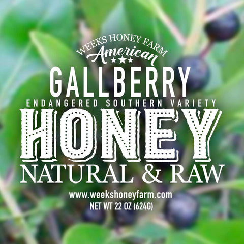 Weeks Raw Southern Gallberry Honey; Endangered Honey from Weeks Honey Farm, Inc. http://www.WeeksHoneyFarm.com