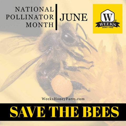 Save the bees, buy American Honey