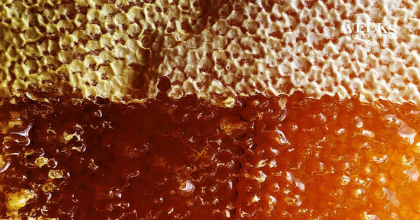 Why Coffee Drinkers Are Ditching Sugar for Raw Honey, and What Happens When You Try It for a Week