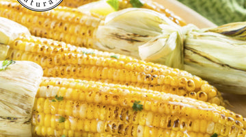 Grilled Corn with Spicy Honey Butter Glaze!