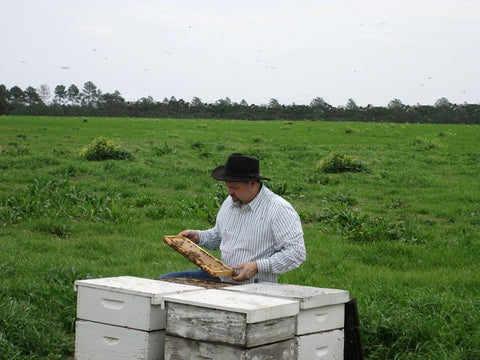Limited Harvest Honey