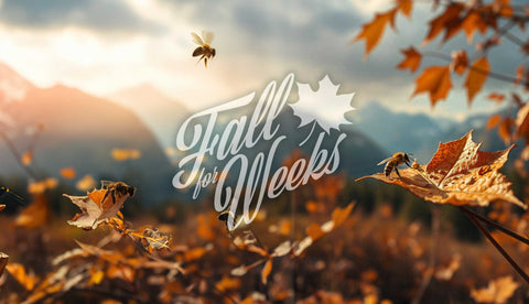 25% Fall Infused Honey Savings | Use Code: FALL