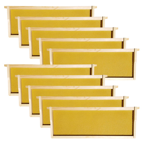 10 Frame Medium Honey Super Kit – Unassembled w/ Frames & Wax-Coated Foundations (Bulk Savings Available)