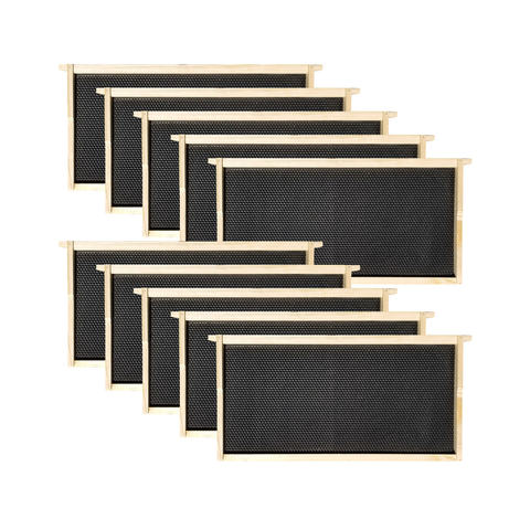 8 Frame Deep Brood Box w/ Dovetail Joints (Unassembled w/ Frames and Foundations)