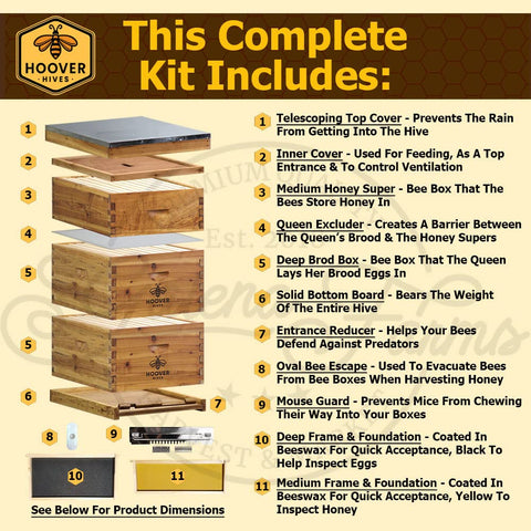 Wax-Coated 8 Frame Beehive - (2)Deeps & (1)Medium (Fully Assembled)