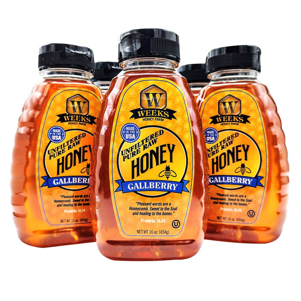 6 Pack of Gallberry Honey; 16 Ounce