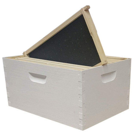 8 Frame Langstroth Deep Brood Box – Amish-Made White Pine (Painted & Assembled) | Weeks Honey Farm