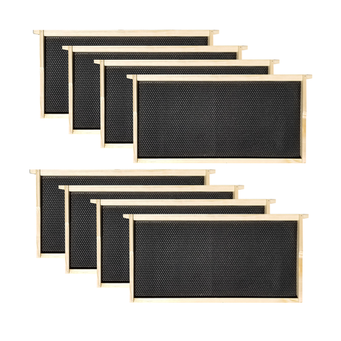 8 Frame Complete Beehive Kit – Fully Assembled & Painted (1 Deep Box) Amish-Made with Frames & Wax-Coated Foundations | Weeks Honey Farm