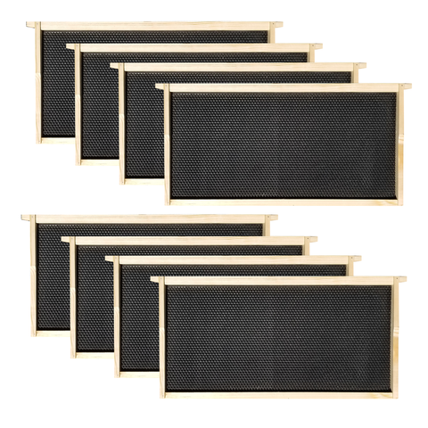 Wax-Coated 8 Frame Beehive - (1)Deep & (3)Mediums