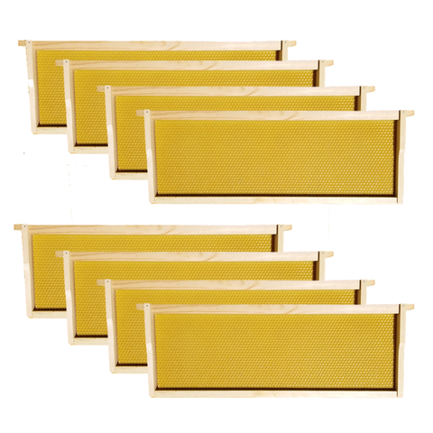Wax-Coated 8 Frame Beehive - (1)Deep & (4)Mediums