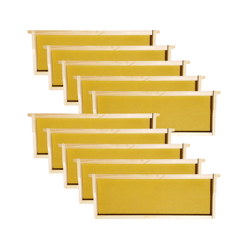 NuBee 10-Frame Painted & Assembled Langstroth Medium Super Box – Includes Frames & Foundations