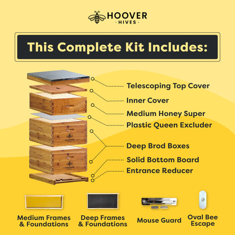 Wax-Coated 10 Frame Beehive - (2)Deeps & (1)Medium (Fully Assembled)