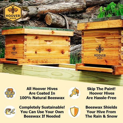 Wax-Coated 8 Frame Beehive - (2)Deeps & (1)Medium (Fully Assembled)