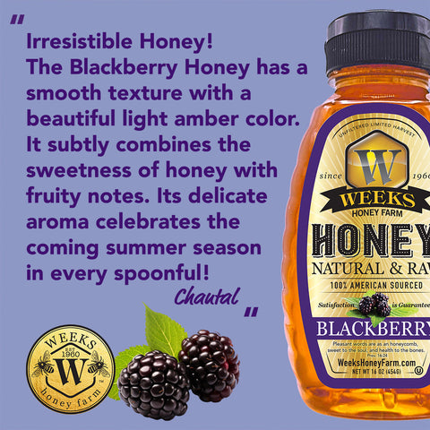 Weeks Raw Blackberry Honey; 16 Ounce - Honey - Only $13.99! Order now at Weeks Honey Farm Fast shipping and excellent customer service.