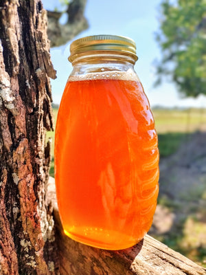 Weeks Pure Raw Tupelo Honey is a Georgia Delight: 16 oz - Honey - Only $23.99! Order now at Weeks Honey Farm