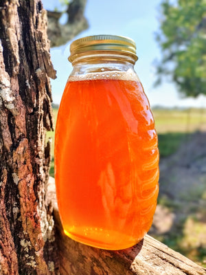 Weeks Pure Raw Tupelo Honey is a Georgia Delight: 16 oz - Premium Honey from Weeks Honey Farm, Inc. - Just $23.99! Shop now at Weeks Naturals | Weeks Honey Farm