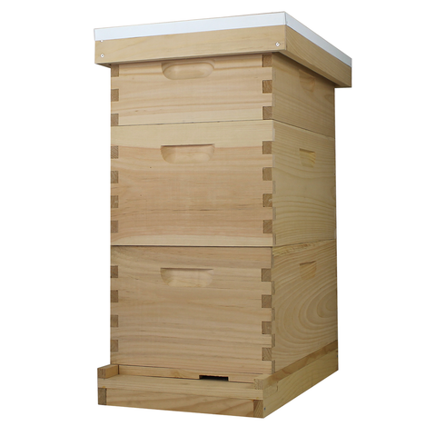 8 Frame Complete Beehive Kit – Fully Assembled & Painted (2 Deep & 1 Medium Boxes) Amish-Made with Frames & Wax-Coated Foundations | Weeks Honey Farm
