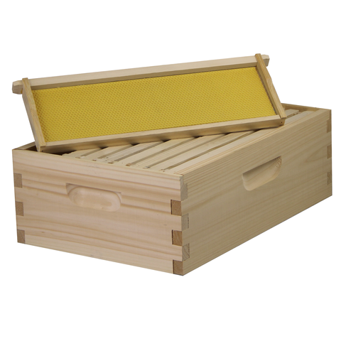 8 Frame Complete Beehive Kit – Fully Assembled & Painted (2 Deep & 1 Medium Boxes) Amish-Made with Frames & Wax-Coated Foundations | Weeks Honey Farm