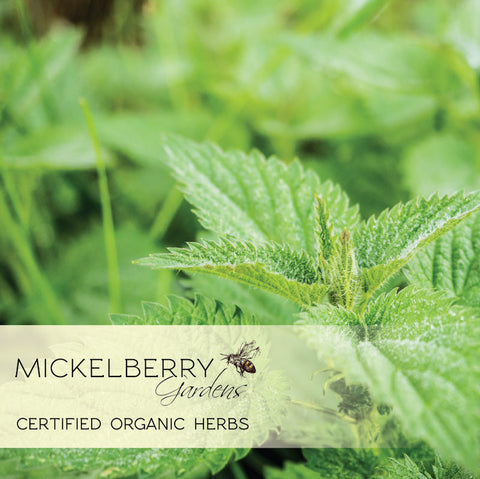 Pollen Honey Tonic - Honey Tonic - Only $11.99! Order now at Weeks Honey Farm Fast shipping and excellent customer service.