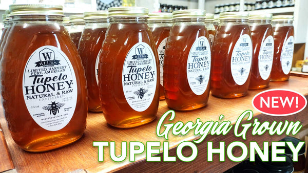Tupelo Honey Looks Small, but Thinks Big - FSR magazine