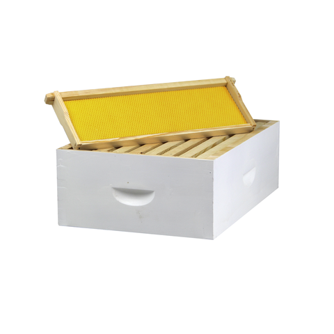 8 Frame Painted Medium Honey Super – Amish-Made w/ Assembled Frames & Wax-Coated Foundations | Weeks Honey Farm