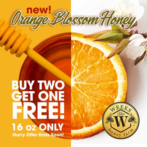 Buy 2 Get 1 Free - 16 oz Orange Blossom Honey from Weeks Honey Farm, Inc. http://www.WeeksHoneyFarm.com
