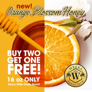 Buy 2 Get 1 Free - 16 oz Orange Blossom - Premium Honey from Weeks Naturals | Weeks Honey Farm - Just $31.98! Shop now at Weeks Naturals | Weeks Honey Farm