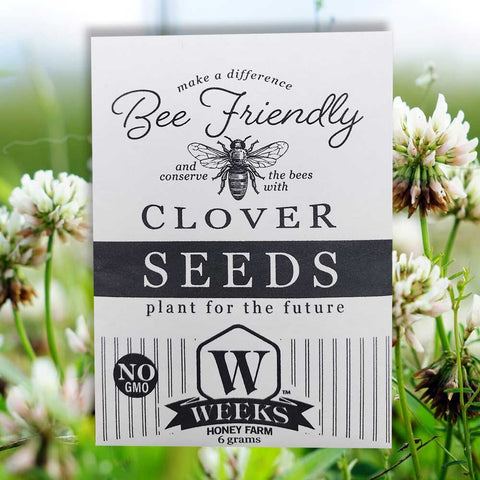 Bee Friendly Seed Collection Inspired by Our Honey Bees Favorite Flowers (3 Pack) - Gifts - Only $7.99! Order now at Weeks Honey Farm Fast shipping and excellent customer service.