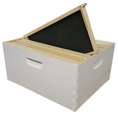10 Frame Langstroth Deep Brood Box – Amish-Made White Pine (Painted & Assembled) | Weeks Honey Farm