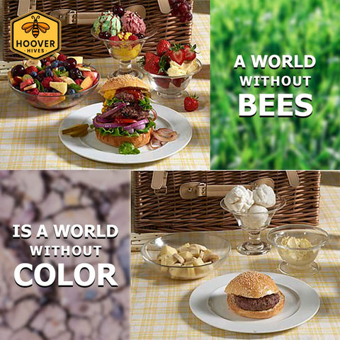 Wax-Coated 8 Frame Beehive - (1)Deep & (1)Medium | | Full Hive from Galena Farms