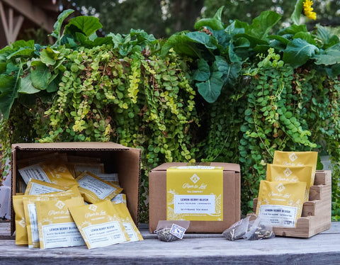Lemon Berry Blush Case of Individually Wrapped Tea Bags- 50ct | | from Piper and Leaf Tea Co.
