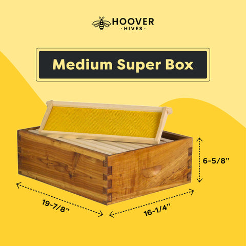 10-Frame Wax-Coated Beehive Kit – (2) Deep & (1) Medium Unassembled | Hoover Hives® Original Beeswax Finish