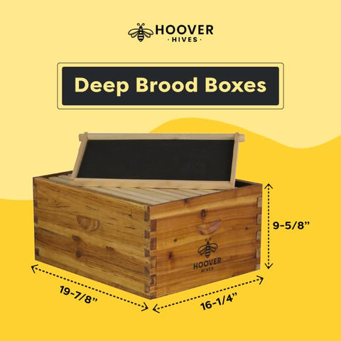 Wax-Coated 10 Frame Beehive - (2)Deeps & (1)Medium (Fully Assembled)